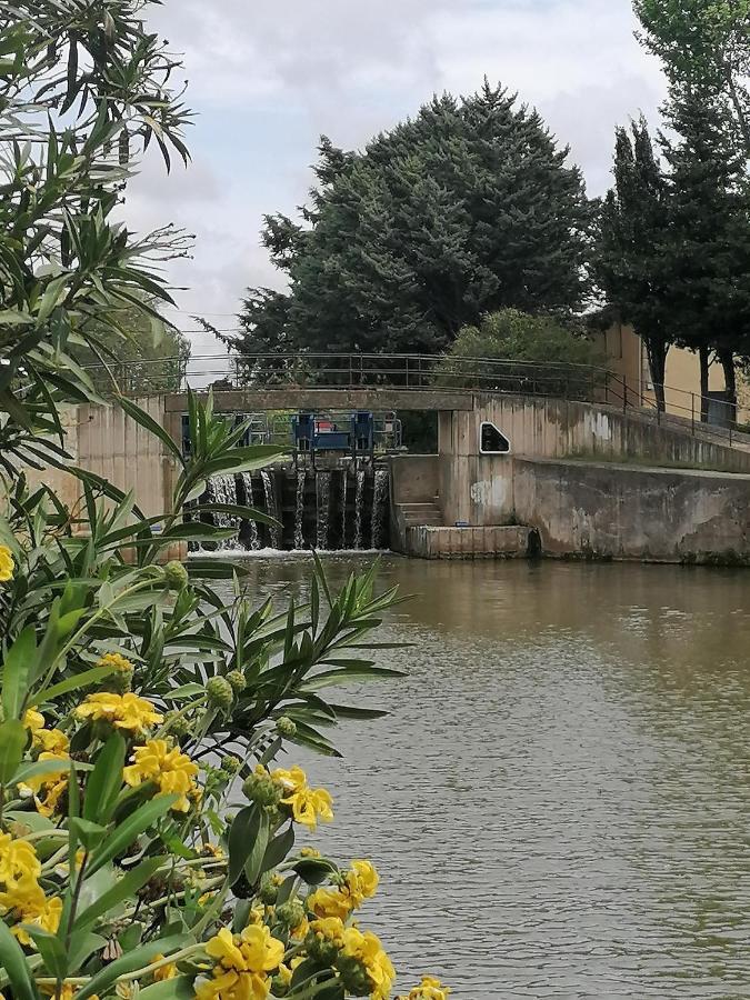 Villa Sainte Marie Narbonne Exteriör bild