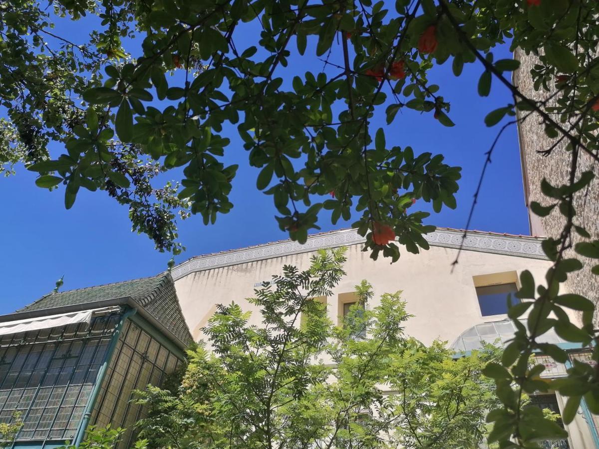 Villa Sainte Marie Narbonne Exteriör bild